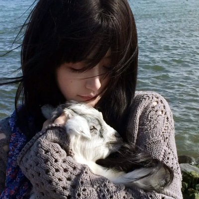 绝望主妇第七季
